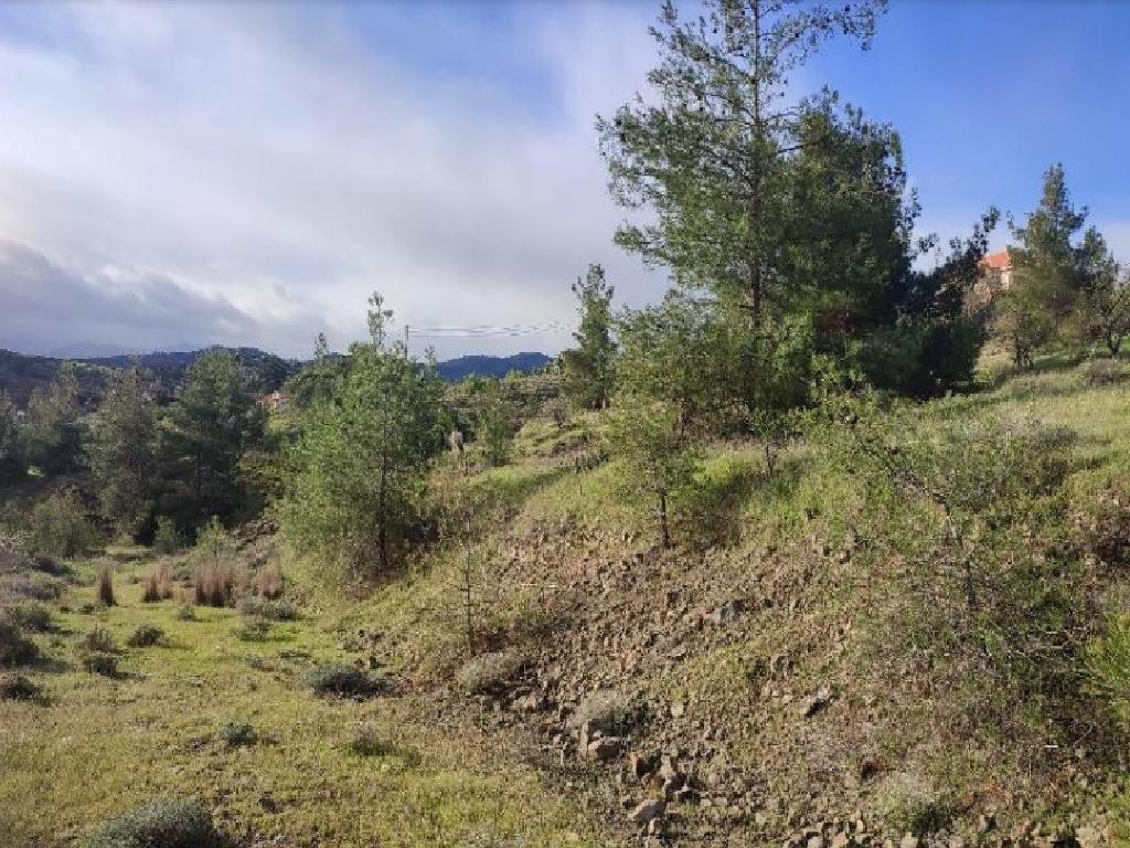 Field (Share) - Agia Marina (Xyliatou), Nicosia-Agia Marina (Xyliatou)