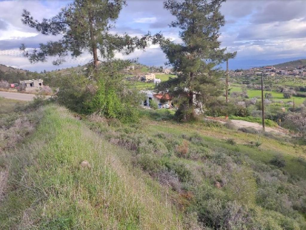 Field (Share) - Agia Marina (Xyliatou), Nicosia-Agia Marina (Xyliatou)