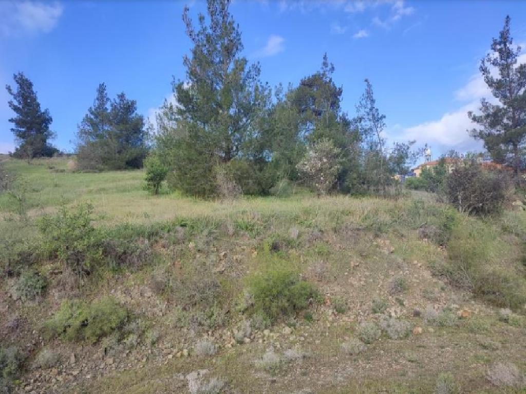 Field (Share) - Agia Marina (Xyliatou), Nicosia-Agia Marina (Xyliatou)