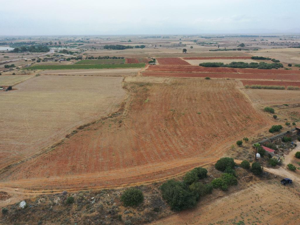 Fields - Avgorou, Famagusta