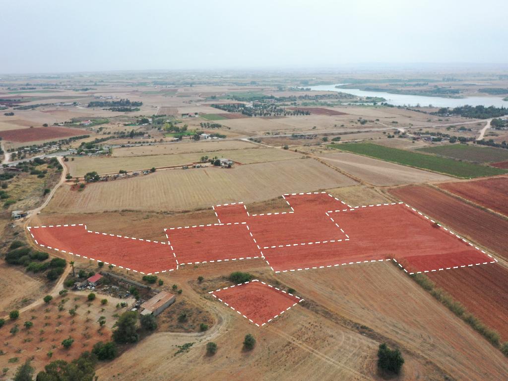 Fields - Avgorou, Famagusta