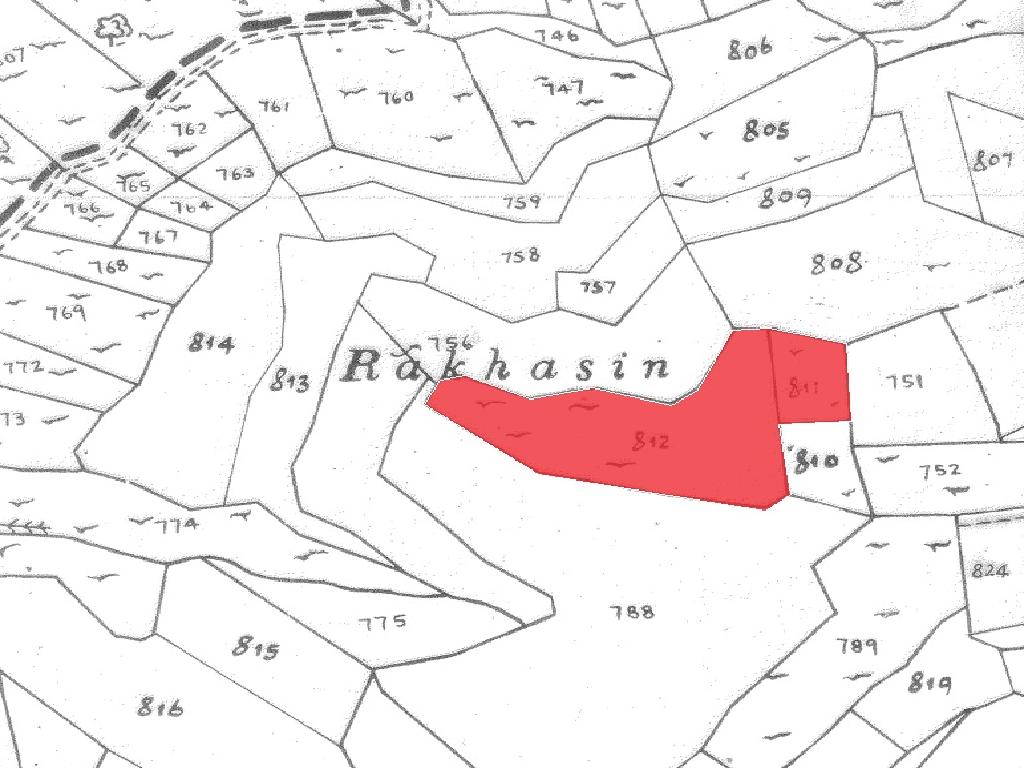 Field - Pachna, Limassol-Pachna