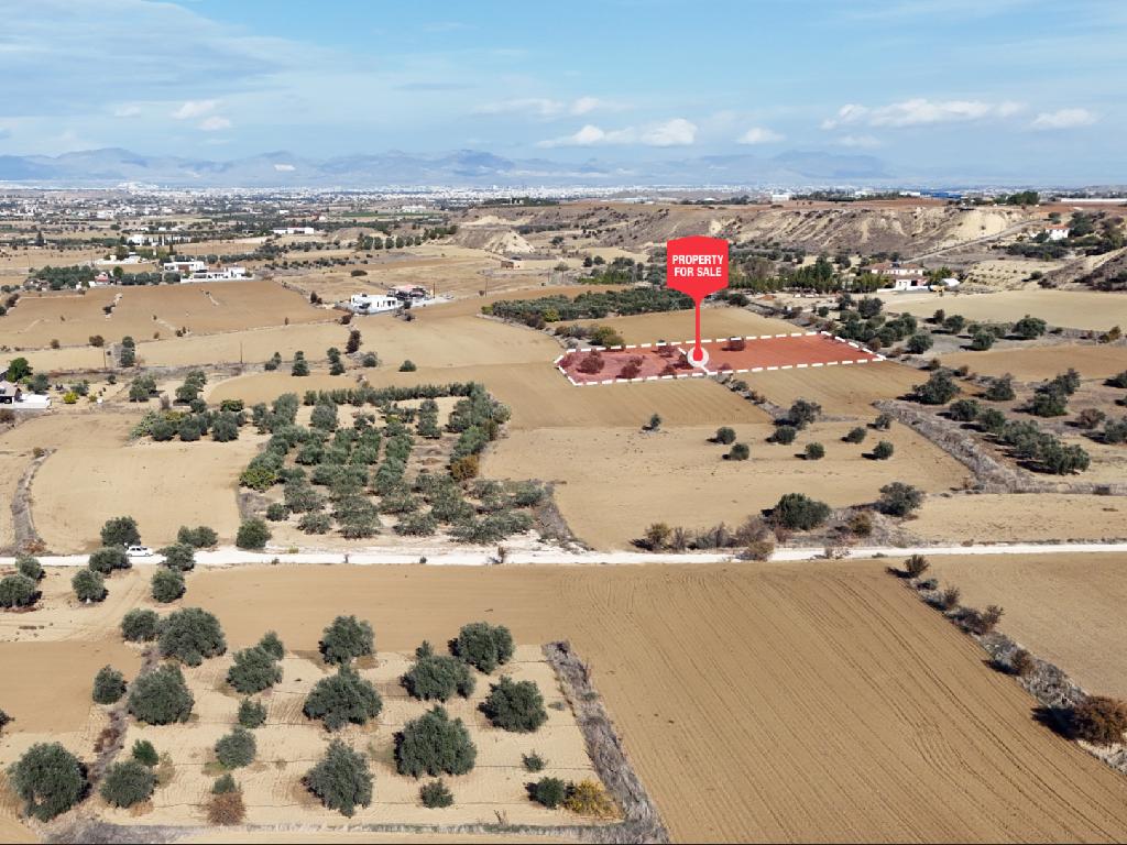 Fields - Pera, Nicosia-Pera