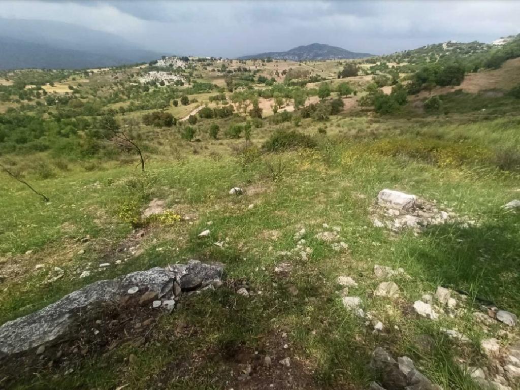 Field - Kelokedara, Paphos-Kelokedara