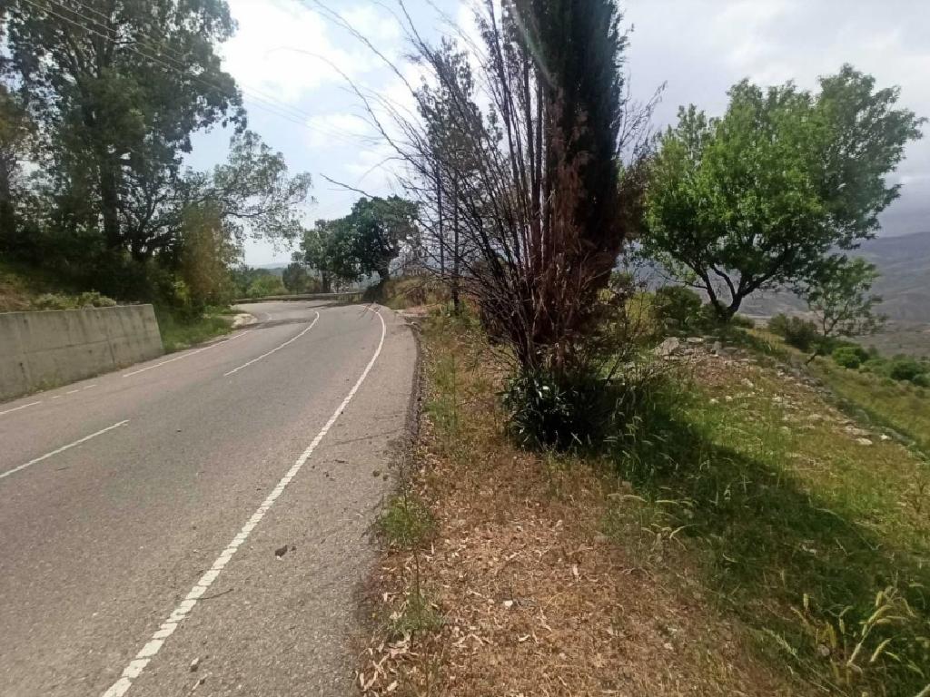 Field - Kelokedara, Paphos-Kelokedara
