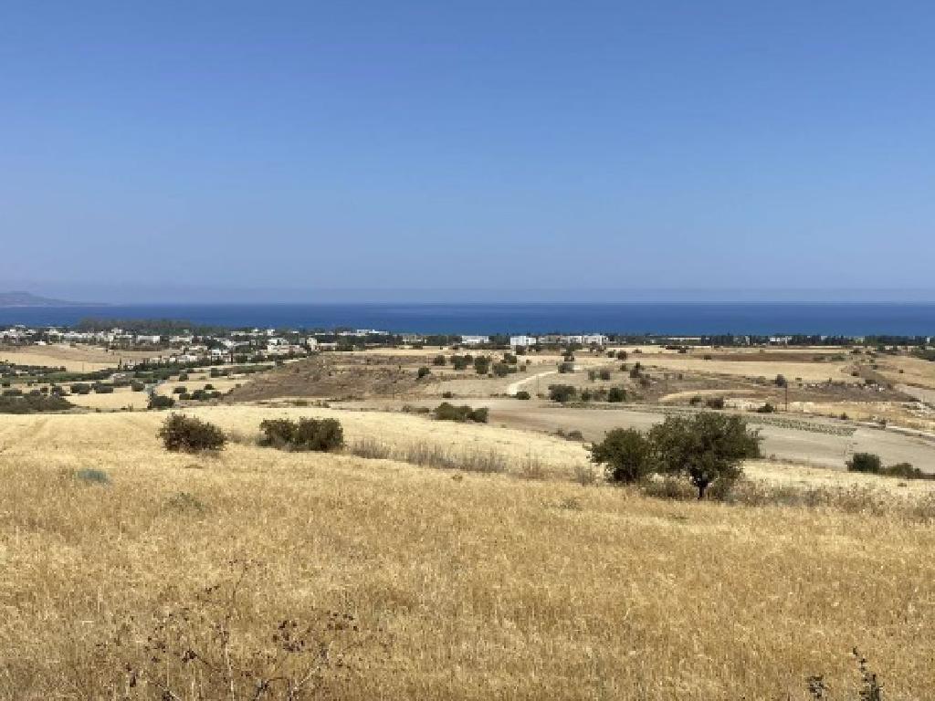 Field (Share) - Poli Chrysochous, Paphos-Polis Chrysochous