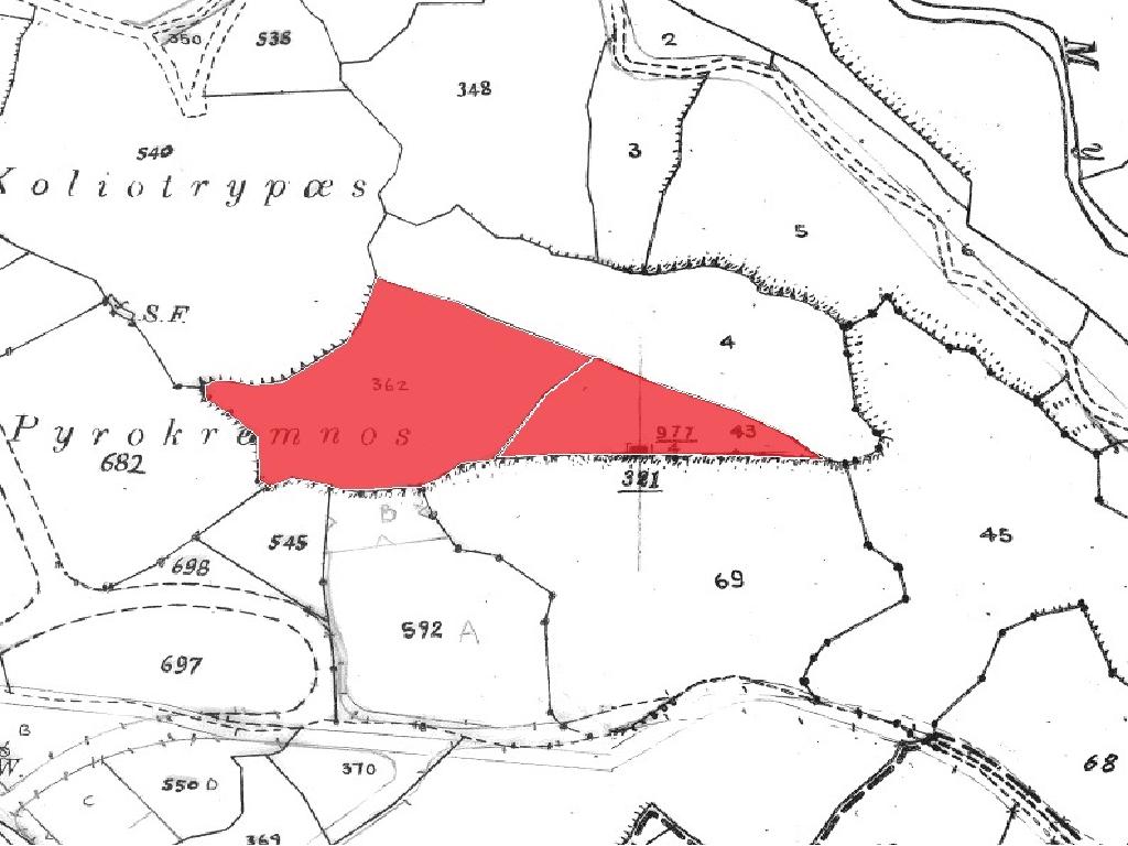 Field (Share) - Poli Chrysochous, Paphos-Polis Chrysochous
