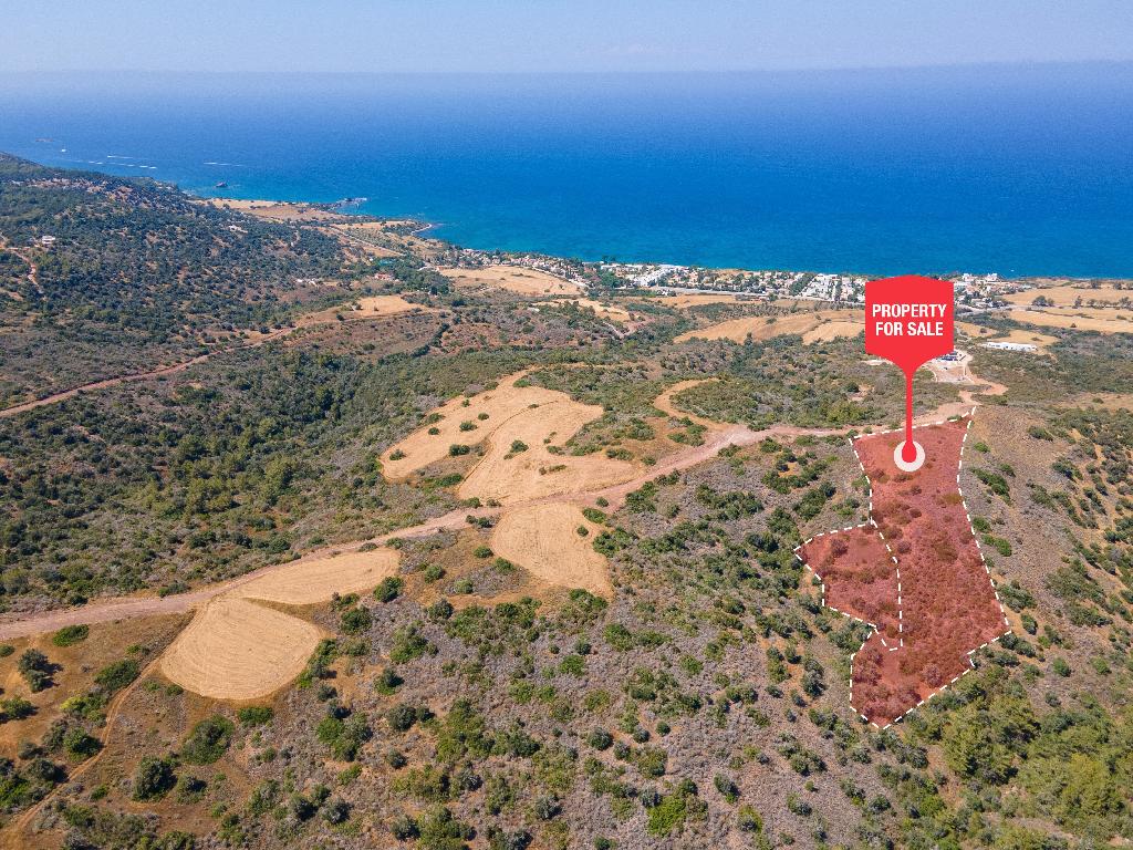 Field - Neo Chorio, Paphos
