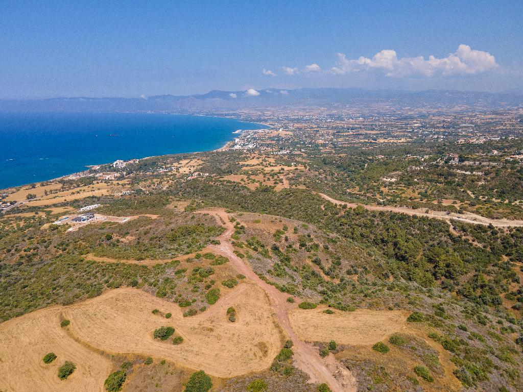 Field - Neo Chorio, Paphos-New Chorio