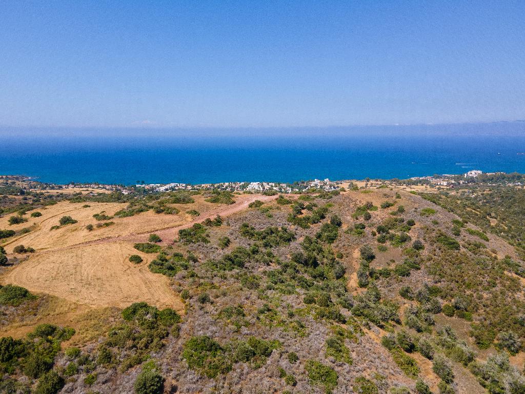 Field - Neo Chorio, Paphos