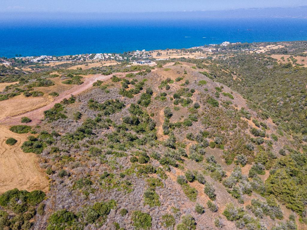 Field - Neo Chorio, Paphos