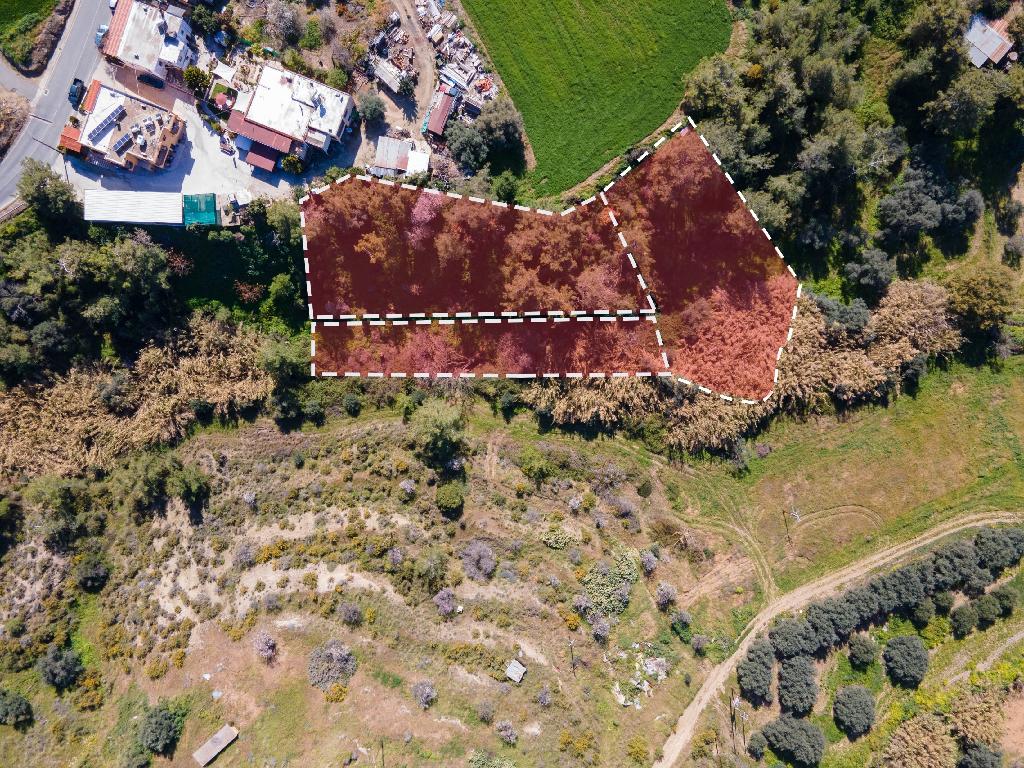 Field - Argaka, Paphos-Argaka