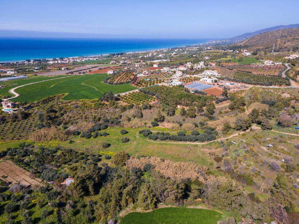 Field - Argaka, Paphos-Argaka