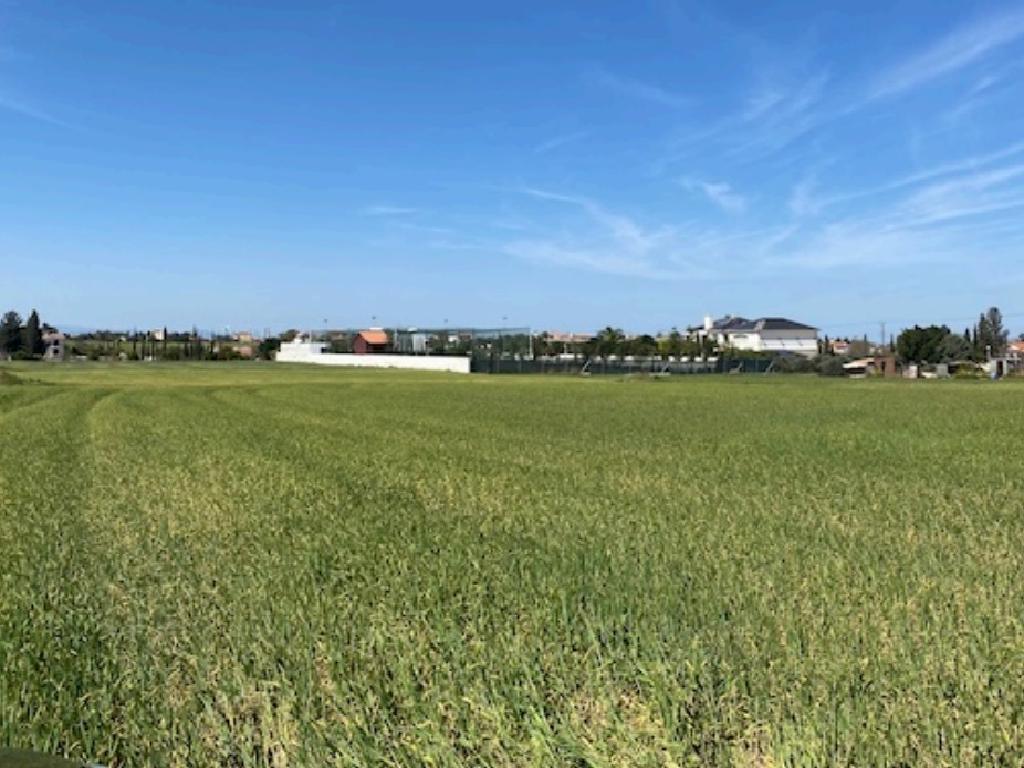Fields (Share) - Agioi Trimithias, Nicosia-Agioi Trimithias