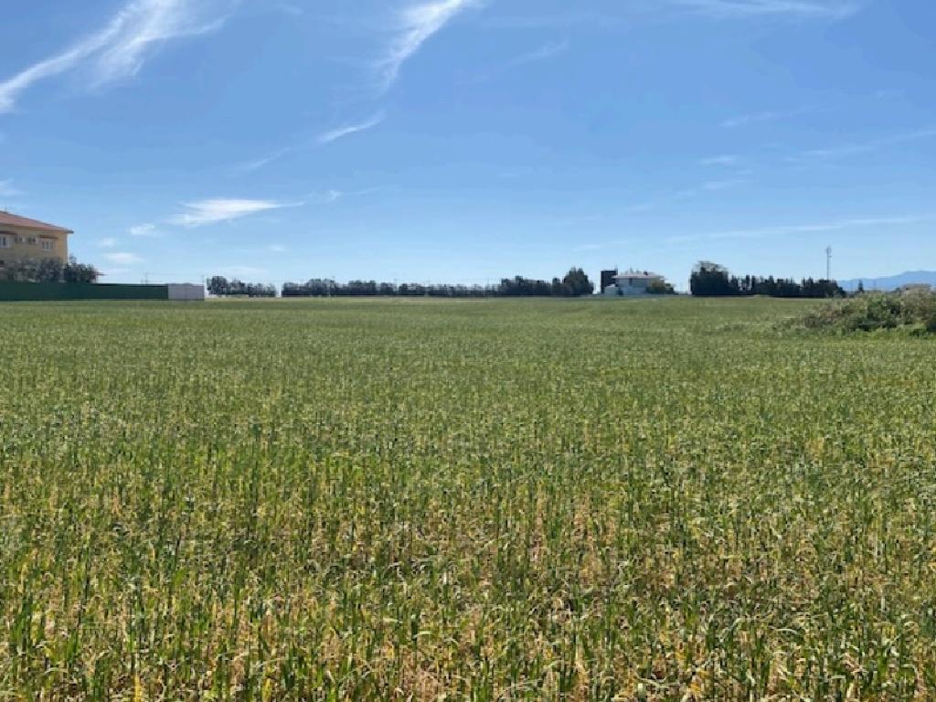 Fields (Share) - Agioi Trimithias, Nicosia-Agioi Trimithias
