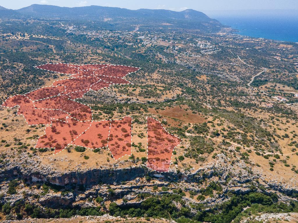 Fields - Neo Chorio, Paphos