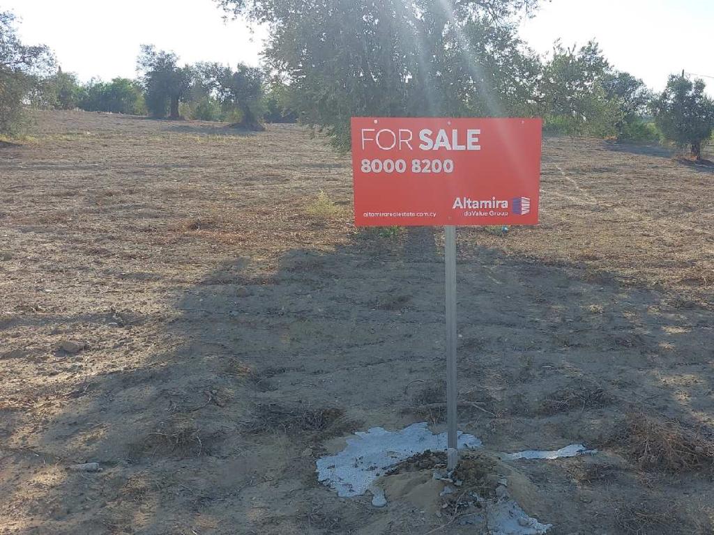 Field - Latsia, Nicosia-Latsia