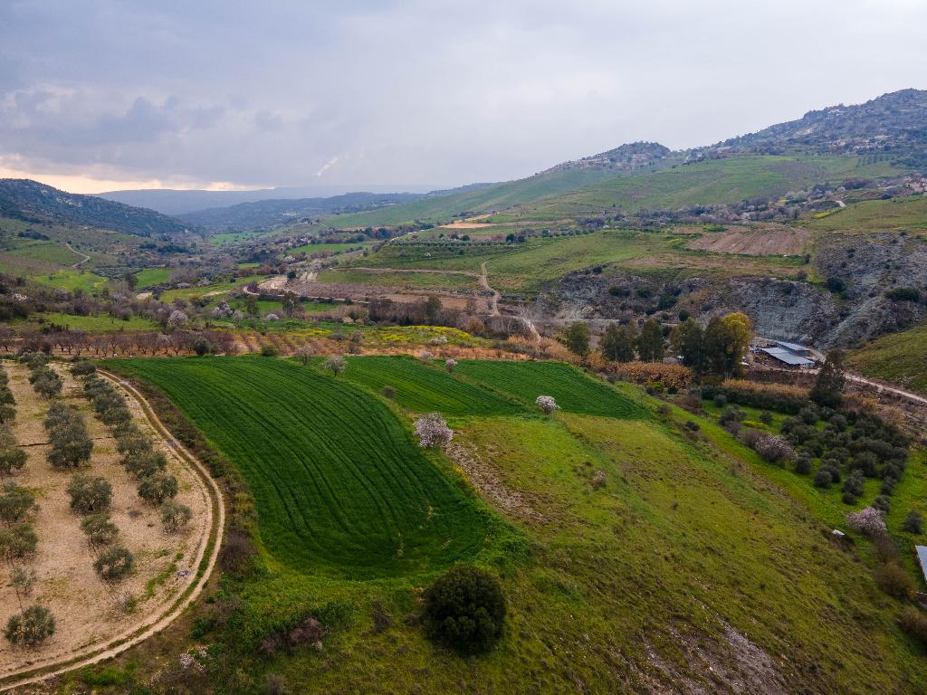 Field - Kannaviou, Paphos-Kannaviou - Melamiou