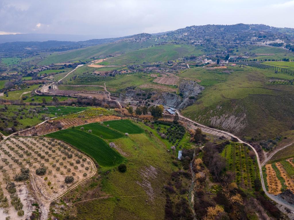 Field - Kannaviou, Paphos-Kannaviou - Melamiou