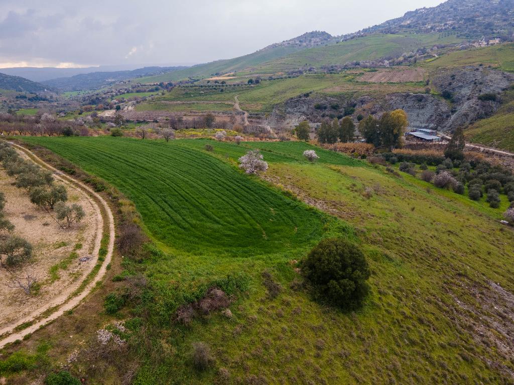 Field - Kannaviou, Paphos-Kannaviou - Melamiou