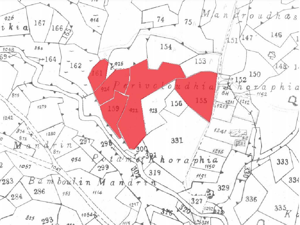 Five fields (Share) - Asgata, Limassol-Asgata