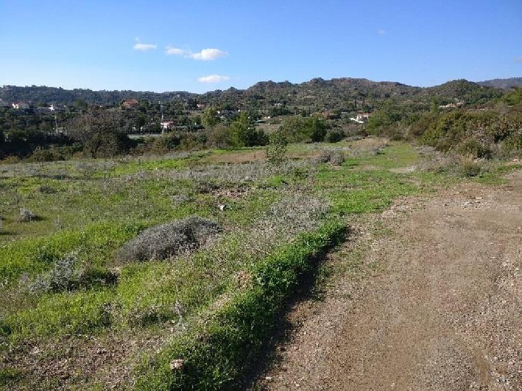 Five fields (Share) - Asgata, Limassol