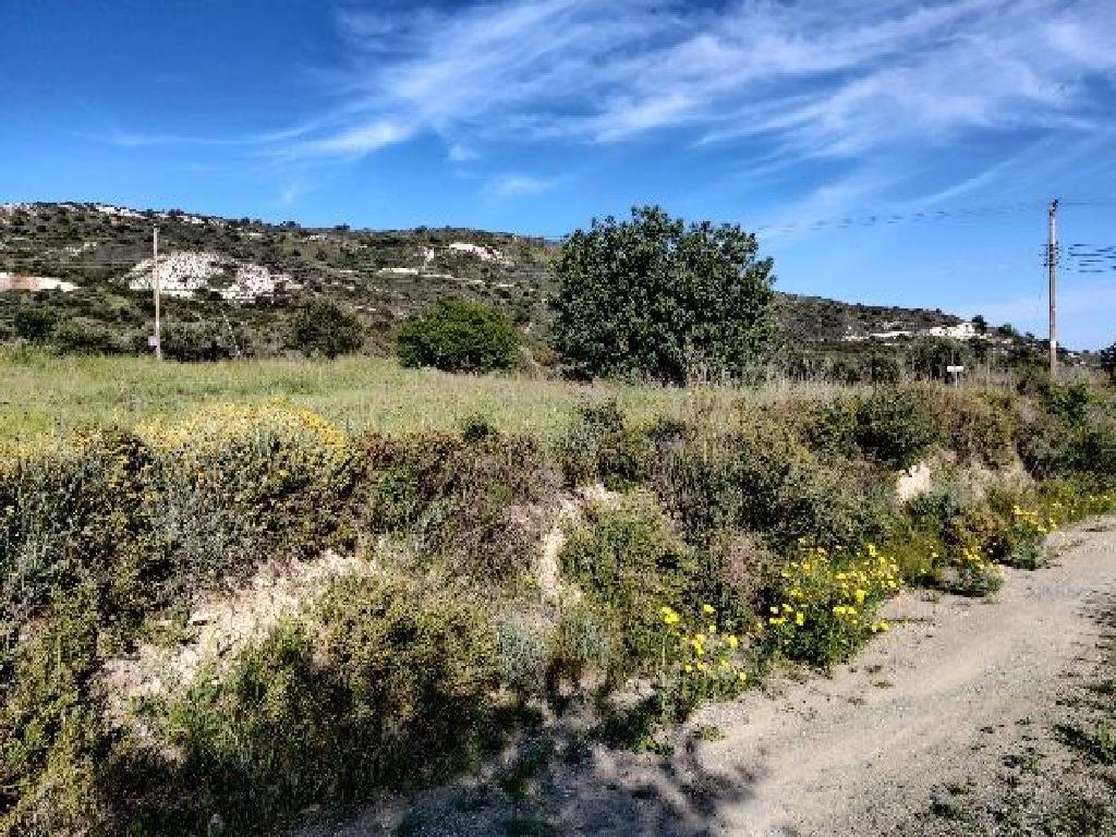 Five fields (Share) - Asgata, Limassol