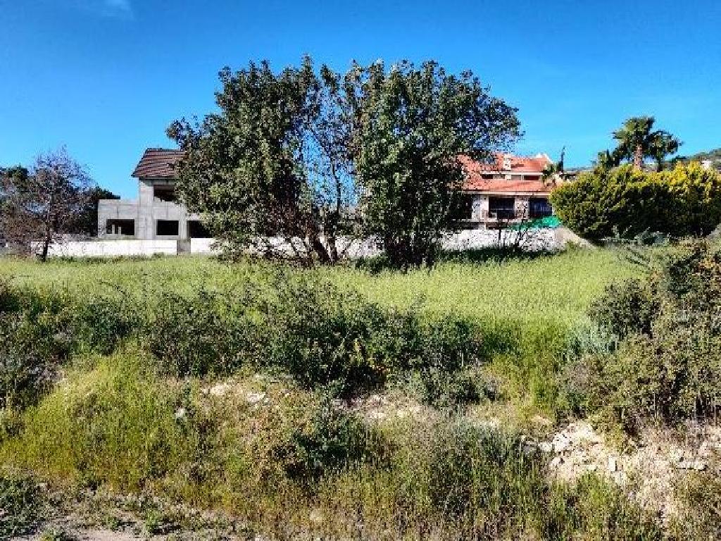 Five fields (Share) - Asgata, Limassol