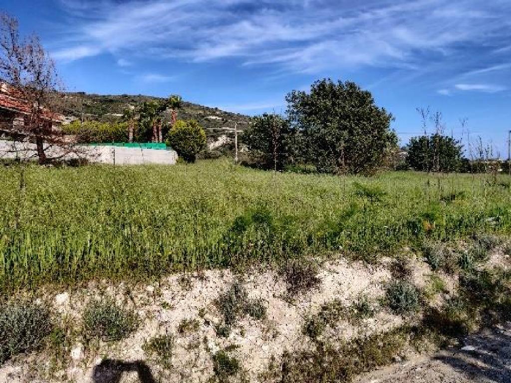 Five fields (Share) - Asgata, Limassol