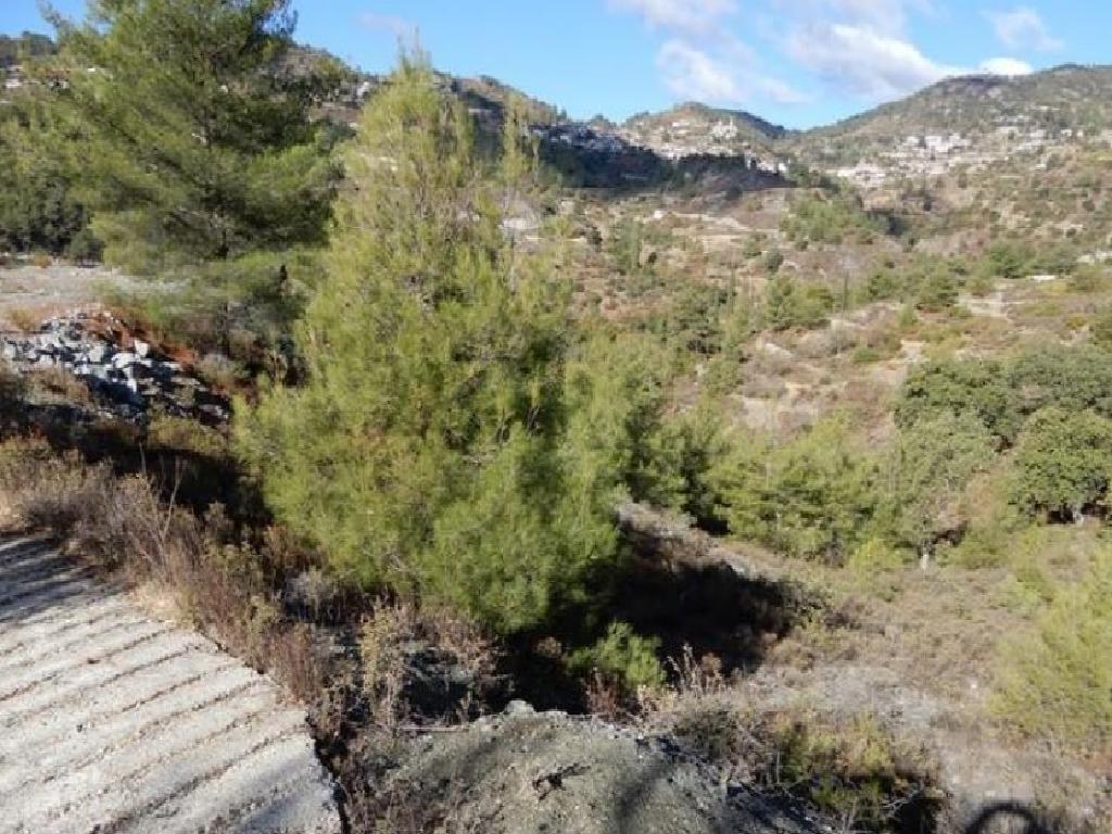 4 Fields (share) - Agridia, Limassol-Agridia