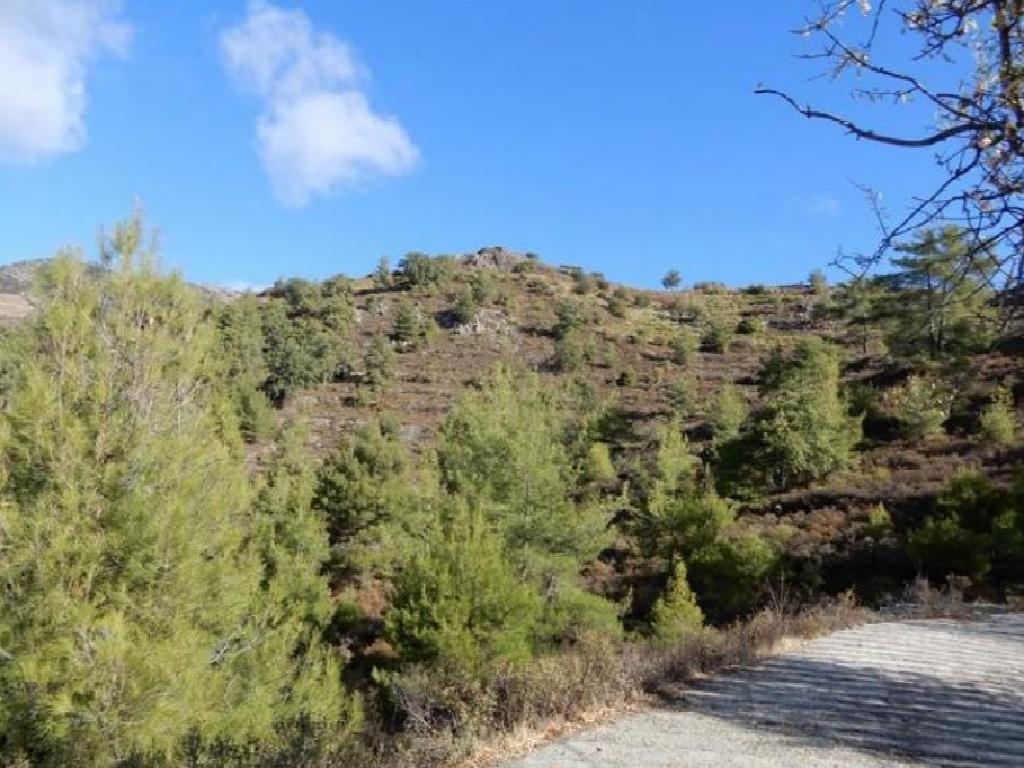 4 Fields (share) - Agridia, Limassol-Agridia