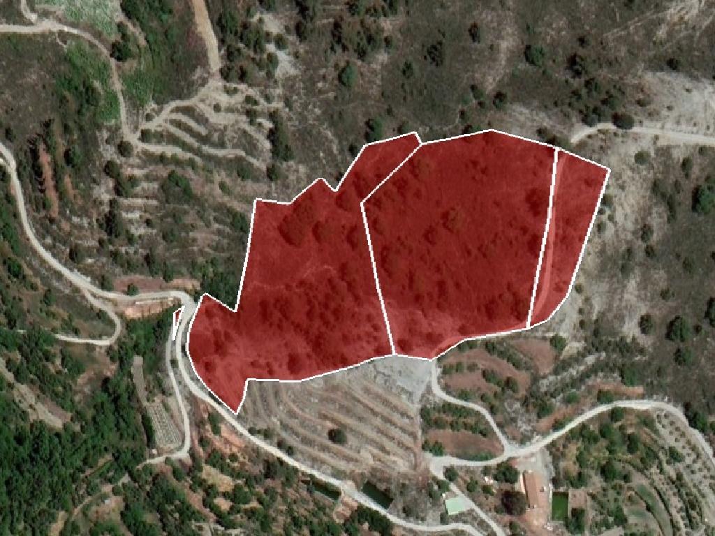 4 Fields (share) - Agridia, Limassol-Agridia
