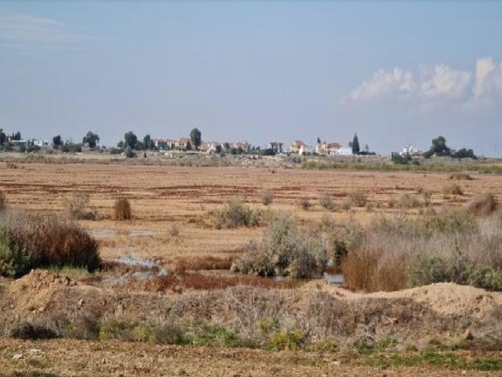 Field (Share) - Paralimni, Famagusta-Paralimni