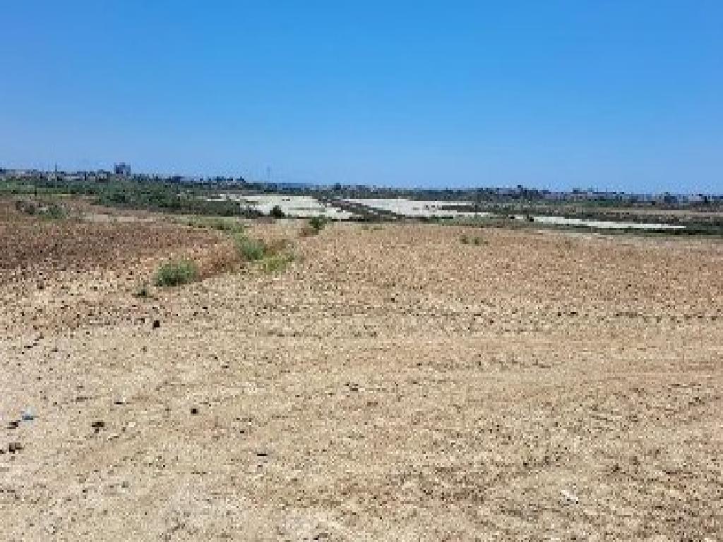 Field (Share) - Voroklini, Larnaca-Voroklini