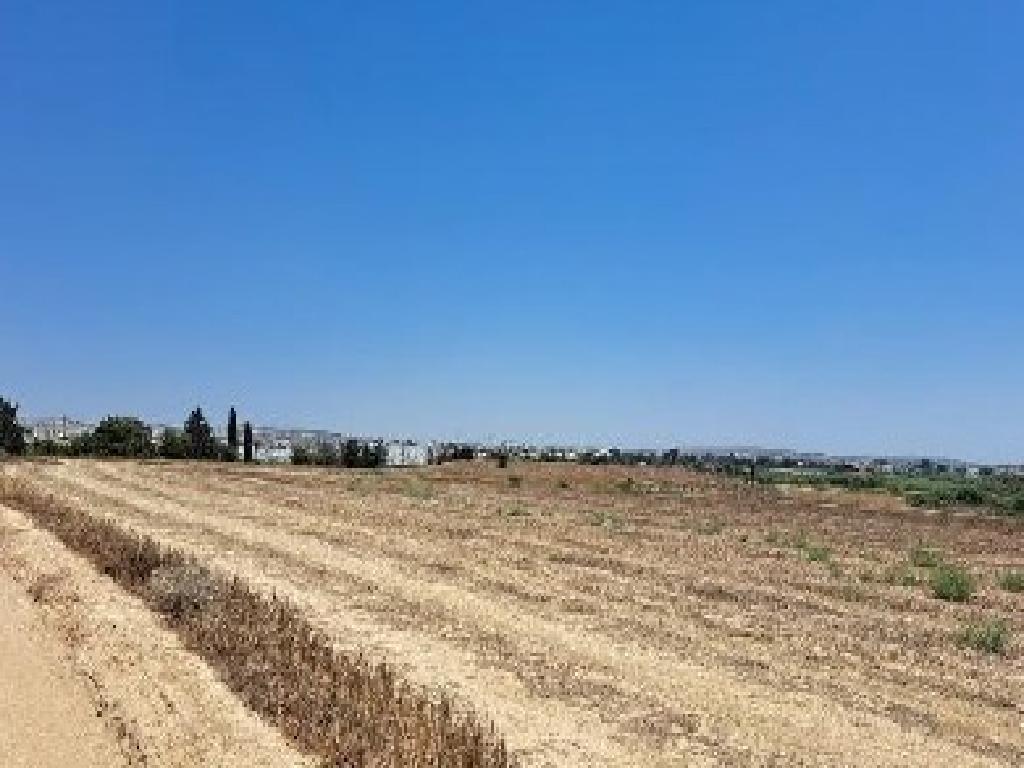 Field (Share) - Voroklini, Larnaca-Voroklini