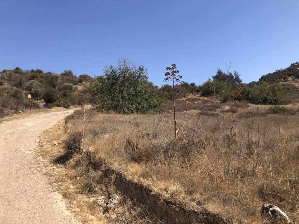 25 adjacent fields - Psematismenos, Larnaca