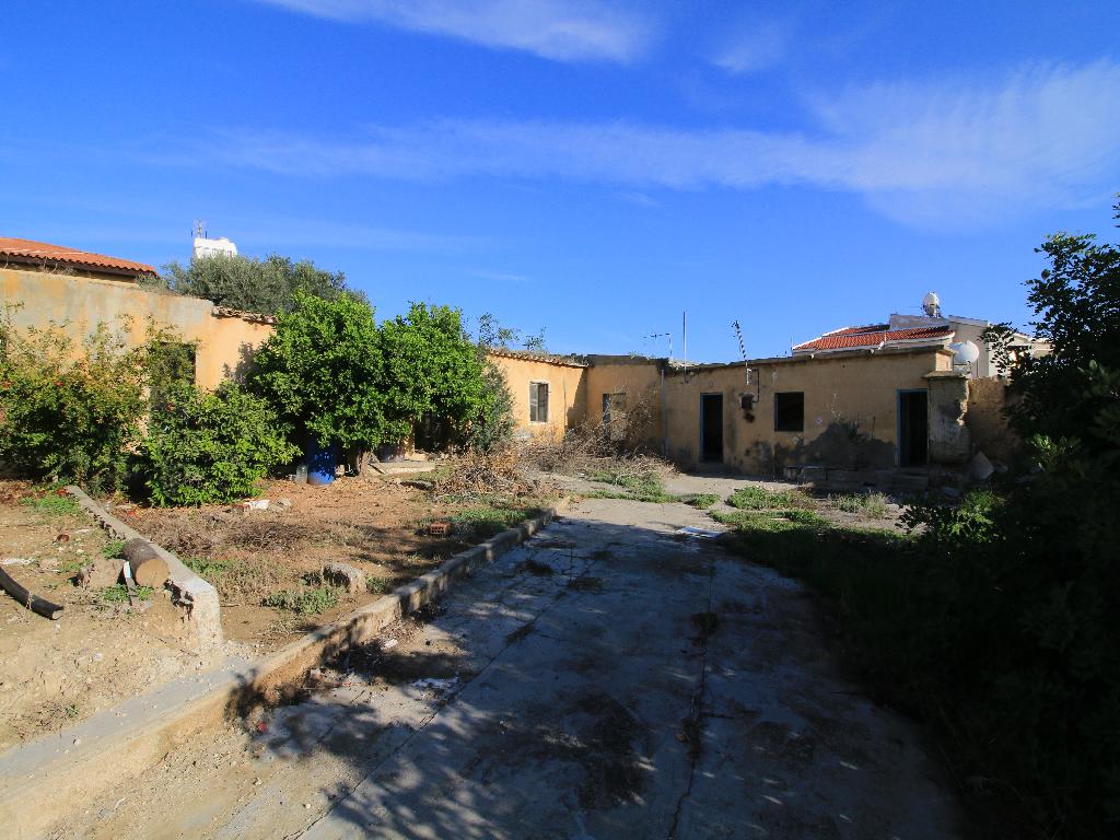 Field - Mazotos, Larnaca-Mazotos