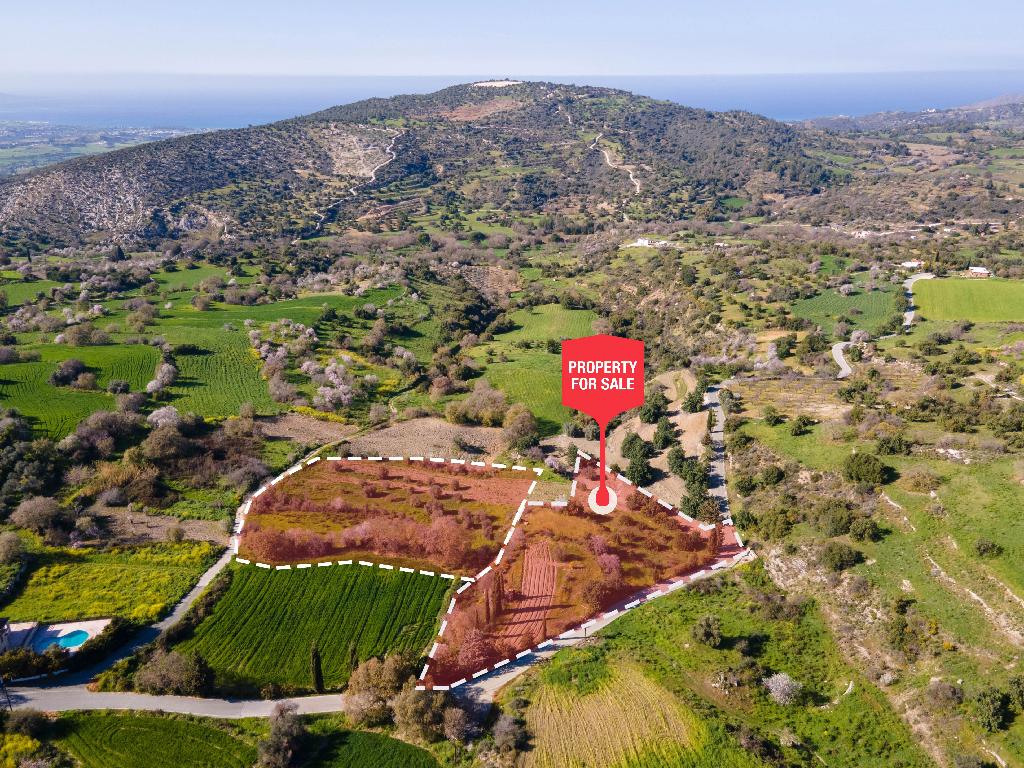 Field - Peristerona, Paphos-Peristerona
