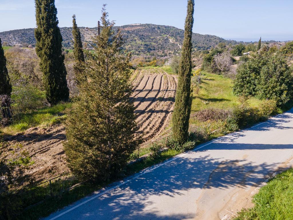 Field - Peristerona, Paphos-Peristerona