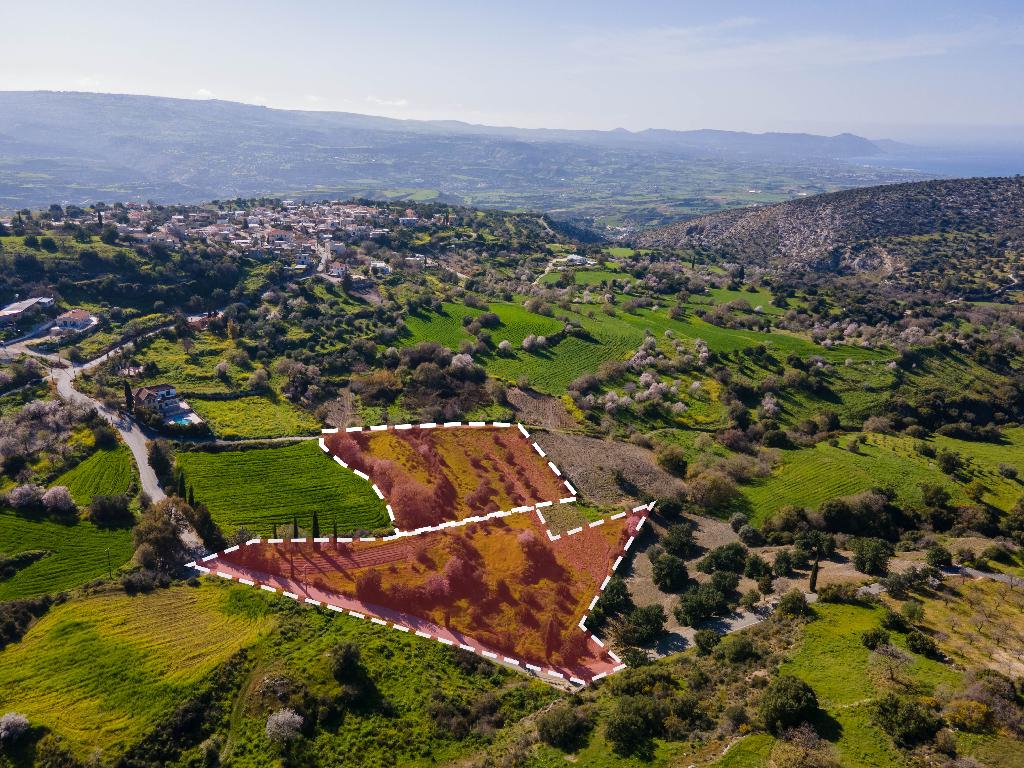 Field - Peristerona, Paphos-Peristerona