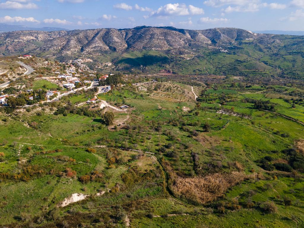 Field - Episkopi, Paphos