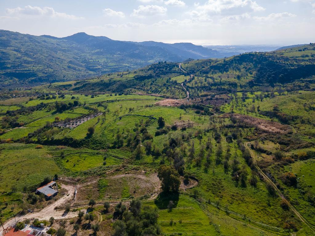 Field - Episkopi, Paphos