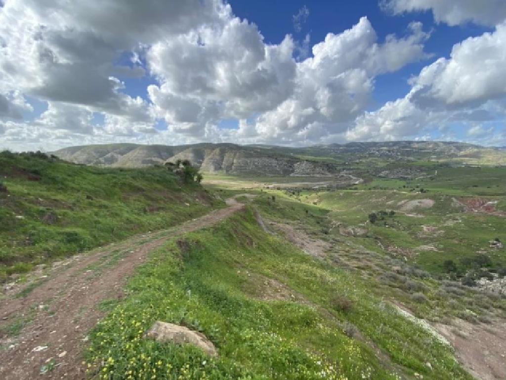 Fields - Choletria, Paphos-Choletria