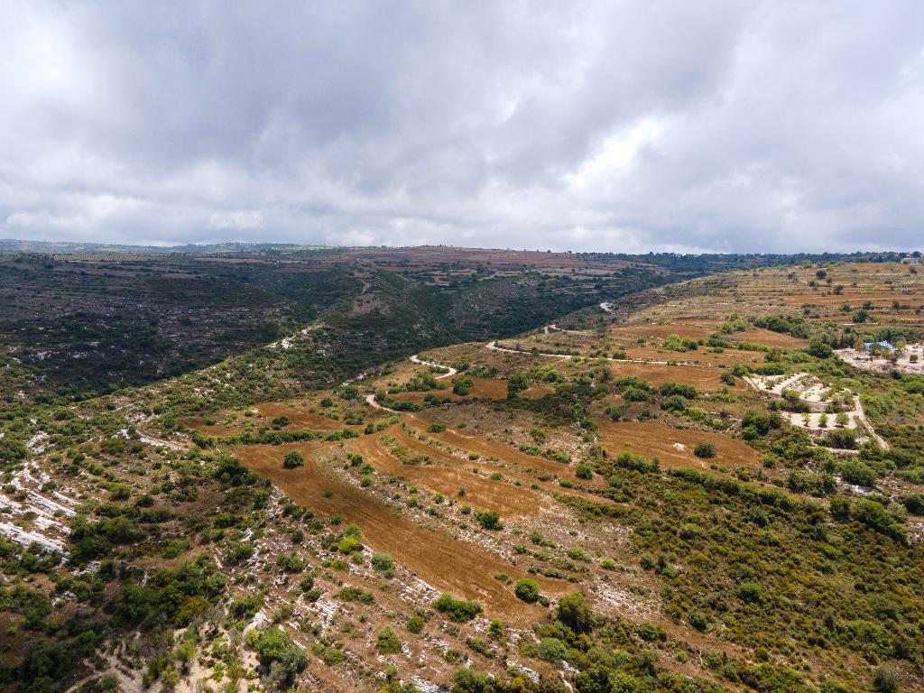 Field - Kritou Terra, Paphos-Kritou Terra