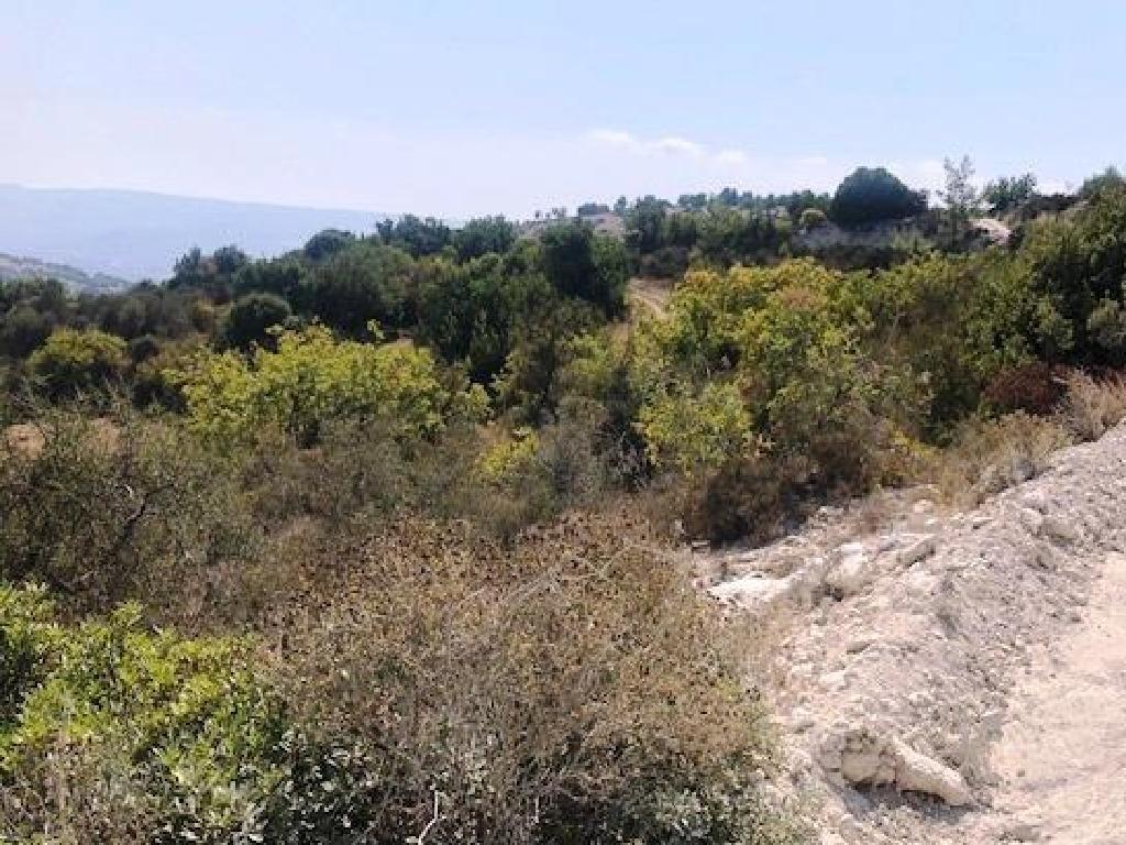 Field - Peristerona, Paphos-Peristerona