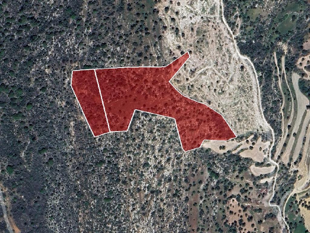 Field - Peristerona, Paphos-Peristerona