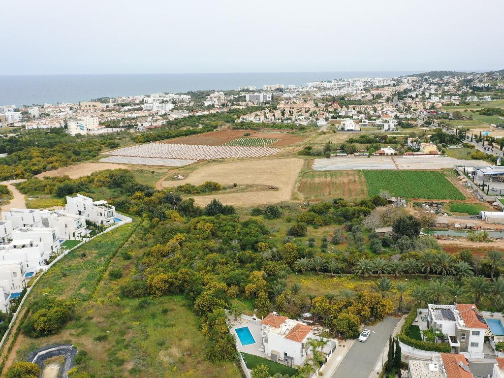 Field - Paralimni, Famagusta-Paralimni