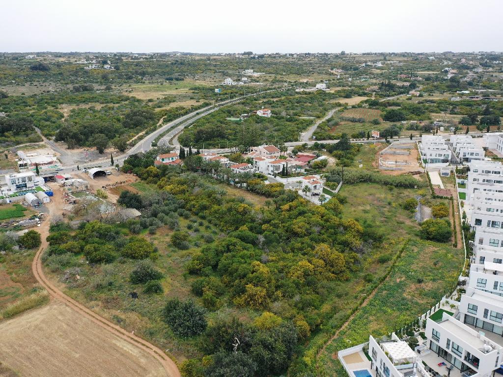 Field - Paralimni, Famagusta-Paralimni