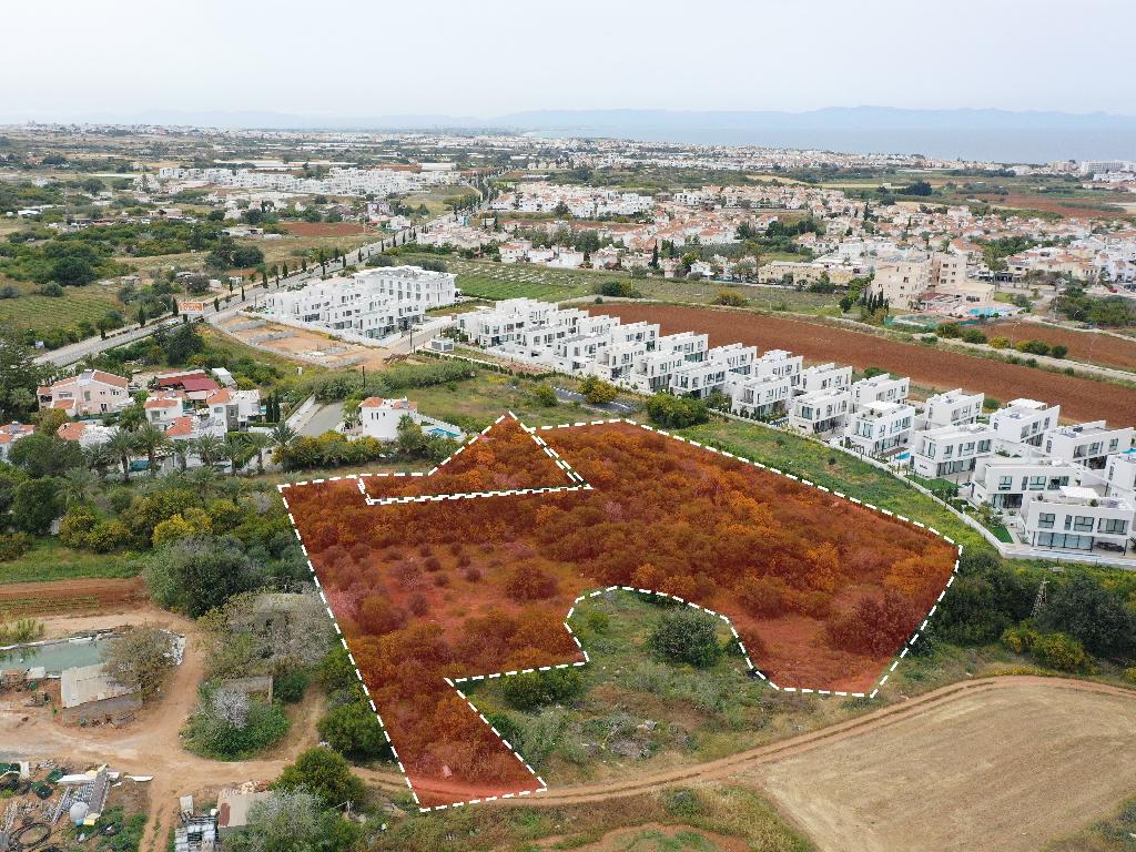 Χωράφι - Παραλίμνι, Αμμόχωστος-Παραλίμνι