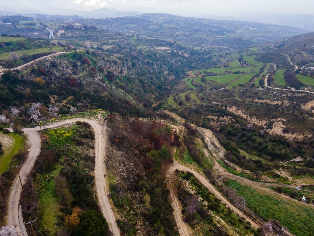 Field - Psathi, Paphos